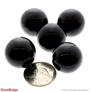 Shungite Sphere - 5 Pack    from Stonebridge Imports