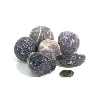 Iolite Tumbled Stones - India    from Stonebridge Imports