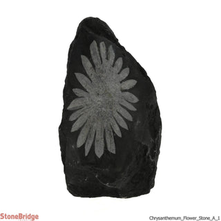 Chrysanthemum Stone Crystal #1    from Stonebridge Imports