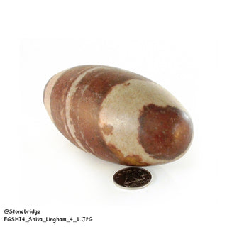 Narmada Shiva Lingam Egg #4    from Stonebridge Imports