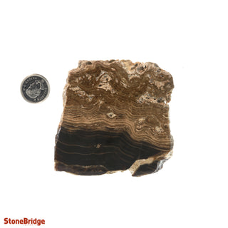 Calcite Chocolate Slice #3    from Stonebridge Imports