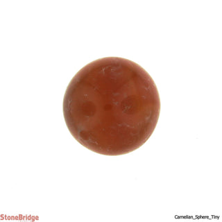 Carnelian Sphere - Tiny    from Stonebridge Imports