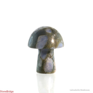 Labradorite Mushroom    from Stonebridge Imports