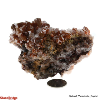 Vanadinite Rough Specimen U#1 - 3"    from Stonebridge Imports