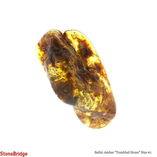 Amber Baltic Tumbled #1    from Stonebridge Imports