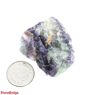 Fluorite Multicolor Chips - Medium    from Stonebridge Imports