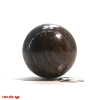 Bronzite Sphere - Extra Small #2 - 1 3/4"    from Stonebridge Imports