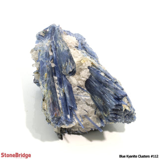 Blue Kyanite Cluster U#112    from Stonebridge Imports