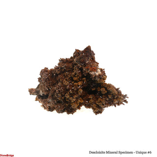 Descloizite Mineral Specimen U#6 - 2 3/4"    from Stonebridge Imports