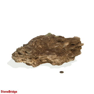 Apatite in Calcite Mineral Cluster Unique #1    from Stonebridge Imports