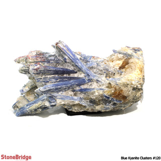 Blue Kyanite Cluster U#120    from Stonebridge Imports