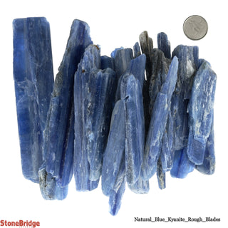 Kyanite Blue E Blades - Large    from Stonebridge Imports
