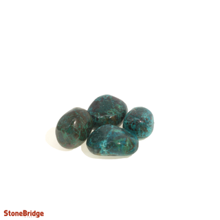 Chrysocolla E Tumbled Stones Large   from Stonebridge Imports