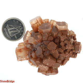 Aragonite Sputnik Cluster #3    from Stonebridge Imports