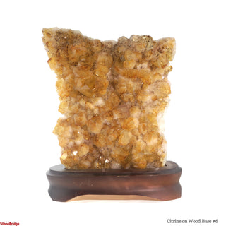 Citrine Cluster on Wood Base #6 - 10" (Enhanced) from Stonebridge Imports