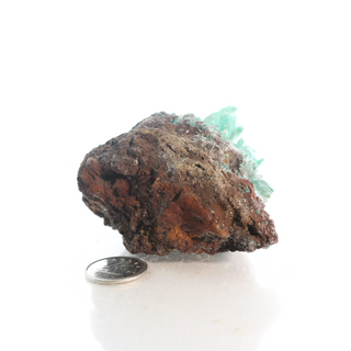Kobyashevite Mineral Specimen U#05    from Stonebridge Imports