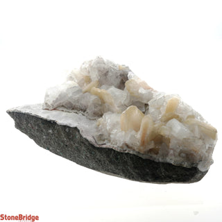 Zeolite on Basalt Cluster - STILBITE & APOPHYLLITE U#38    from Stonebridge Imports