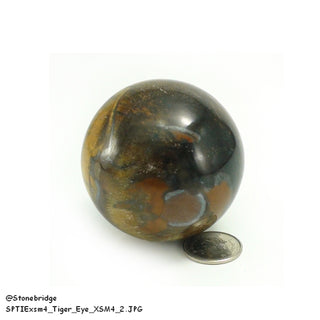 Tiger Eye Sphere - Extra Small #4 - 2"    from Stonebridge Imports