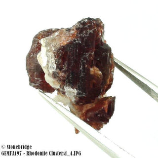 Rhodonite Clusters #1    from Stonebridge Imports