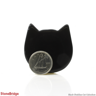 Black Obsidian Cat Cabochon - 1 1/2"    from Stonebridge Imports