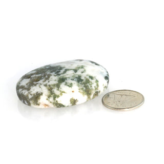 Green Moss Agate Worry Stone    from Stonebridge Imports