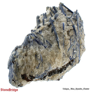Blue Kyanite Cluster U#19    from Stonebridge Imports
