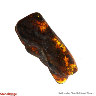 Amber Baltic Tumbled #2    from Stonebridge Imports