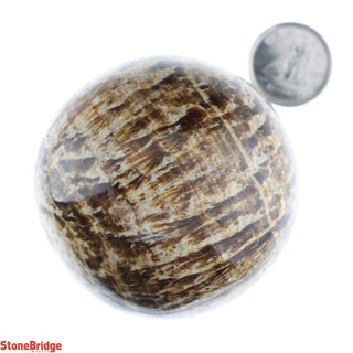 Aragonite Brown Sphere - Extra Small #4 - 2"    from Stonebridge Imports