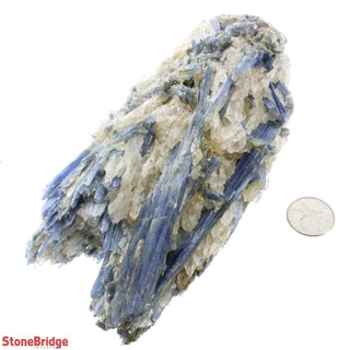 Blue Kyanite A Cluster #9    from Stonebridge Imports
