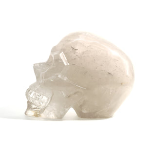 Life Size Skull U#31    from Stonebridge Imports
