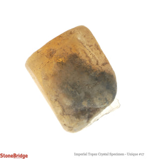 Imperial Topaz Specimen U#17 - 49.5ct    from Stonebridge Imports