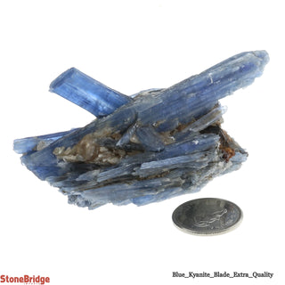 Blue Kyanite E Cluster #3 - 60g to 99g    from Stonebridge Imports