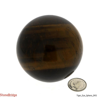 Tiger Eye Sphere - Small #3 - 2 1/4"    from Stonebridge Imports