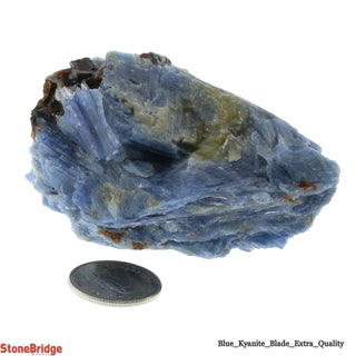 Blue Kyanite E Cluster #4 - 100g to 199g    from Stonebridge Imports