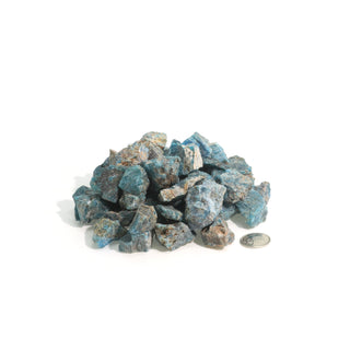 Apatite Blue Chips    from Stonebridge Imports