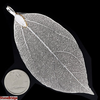 Electroplated Jewelry Leaves - Type #4 - Big Silver Leaf    from Stonebridge Imports