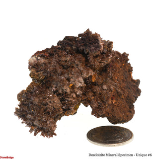 Descloizite Mineral Specimen U#6 - 2 3/4"    from Stonebridge Imports