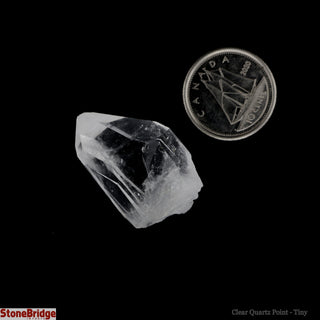 Clear Quartz Points - Tiny    from Stonebridge Imports