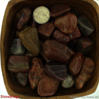 Petrified Wood Tumbled Stones - Africa    from Stonebridge Imports