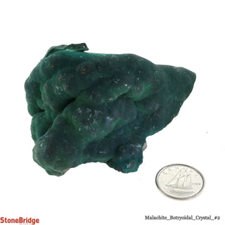 Malachite Botryoidal Crystal #2 - 100g to 200g    from Stonebridge Imports