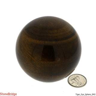Tiger Eye Sphere - Small #2 - 2 1/4"    from Stonebridge Imports
