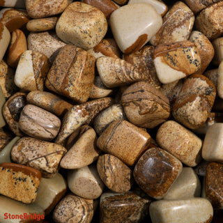 Picture Jasper Tumbled Stones    from Stonebridge Imports