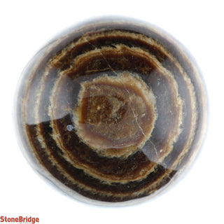 Aragonite Brown Sphere - Small #1 - 2 1/4"    from Stonebridge Imports