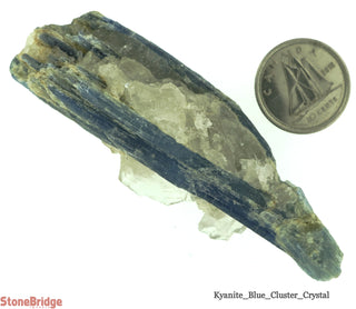 Kyanite Blue A Cluster - 5 Pack    from Stonebridge Imports