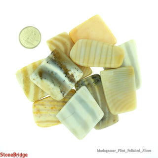 Madagascar Flint Slices A Assorted s - 1/4lb Bag    from Stonebridge Imports