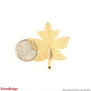 Electroplated Jewelry Leaves - Type #14 - Gold    from Stonebridge Imports