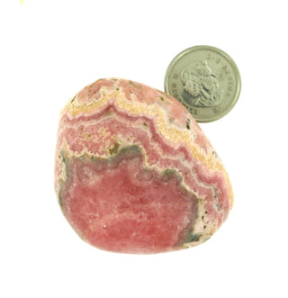 Rhodochrosite E Tumbled Stones #2    from Stonebridge Imports