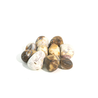 Orbicular Jasper Tumbled Stones - India Large   from Stonebridge Imports