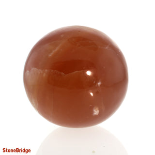 Calcite Honey Sphere - Medium #4 - 3"    from Stonebridge Imports