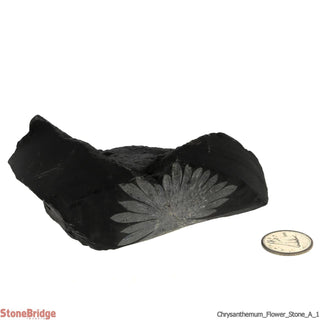 Chrysanthemum Stone Crystal #1    from Stonebridge Imports
